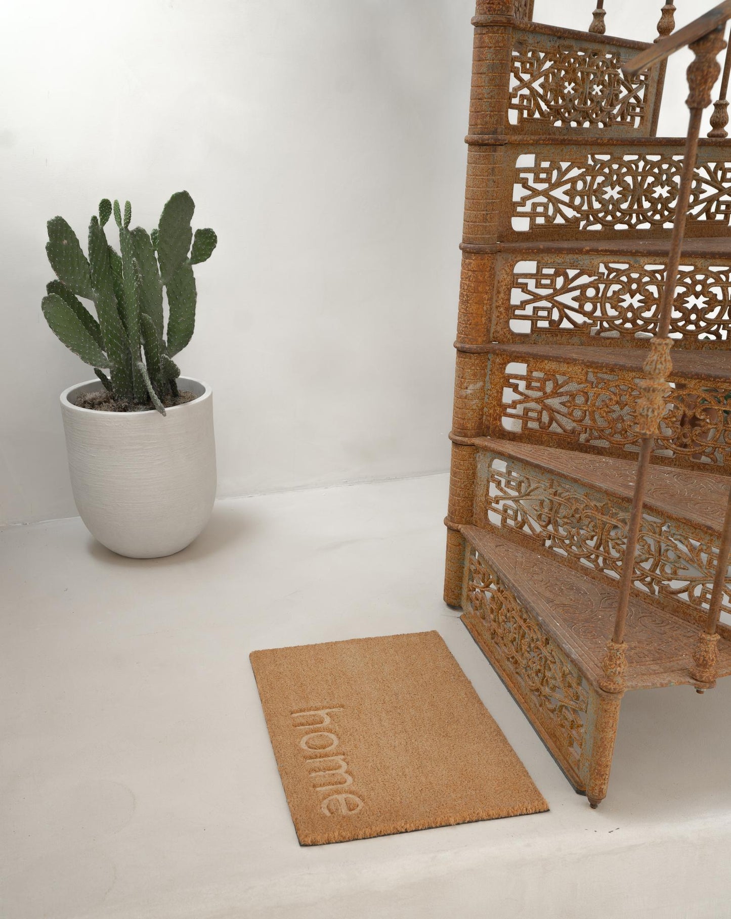 Türmatte Kokos 40x60cm Braun