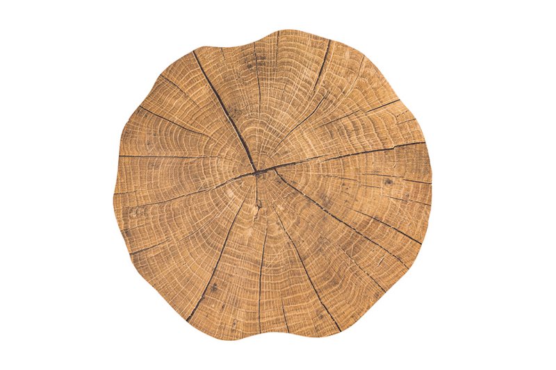 Tischset TOGO TREE TRUNK