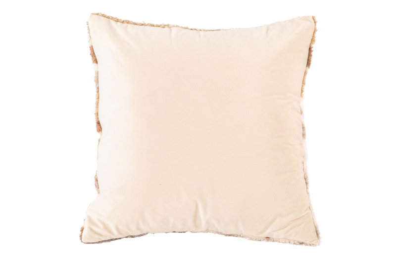 3498_2.jpg&width=800