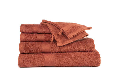 9159TERRA_3.jpg&width=800